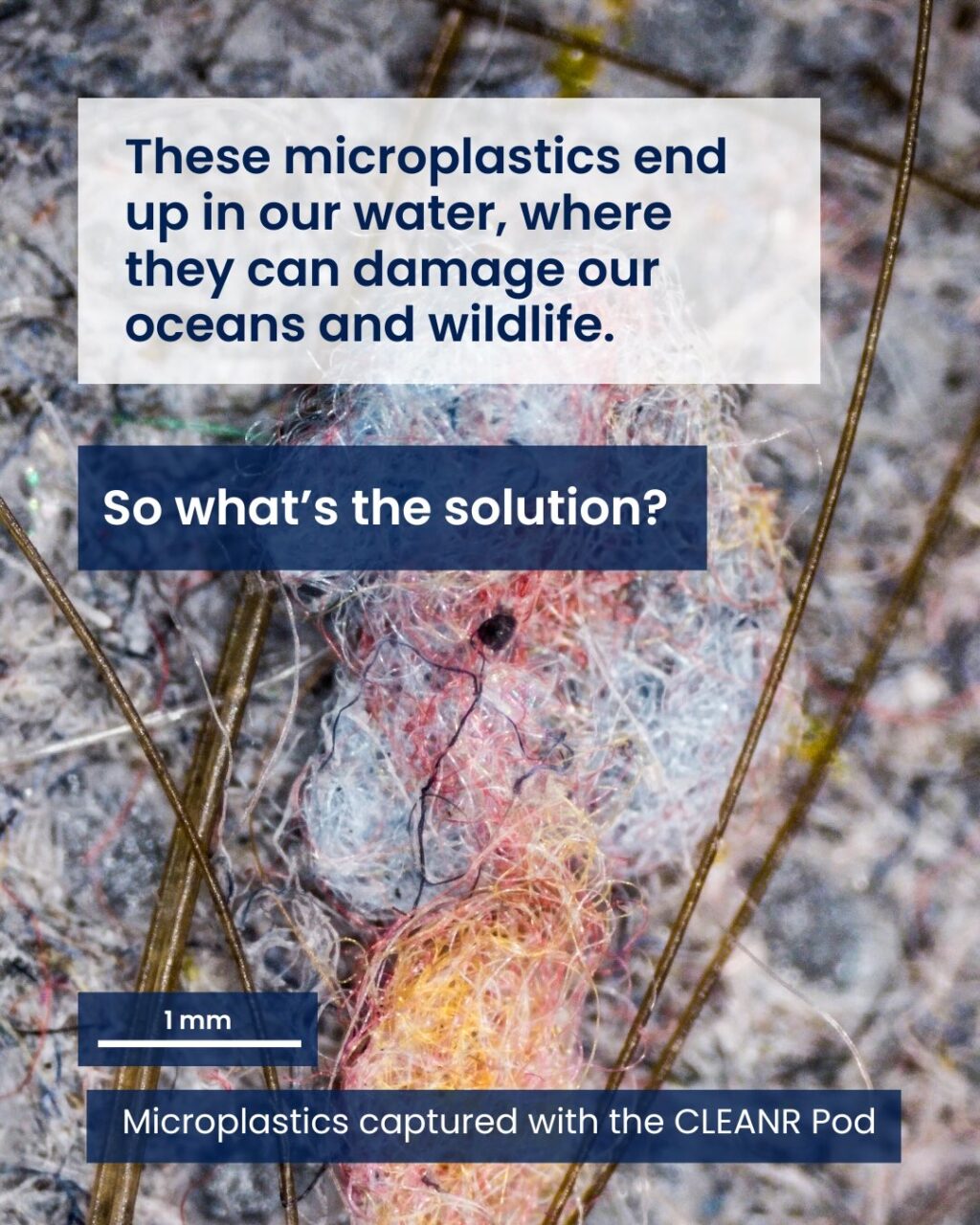 Instagram post from cleanr.life. This post is in position 3.